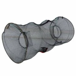 Selection Nasse Poisson-chat