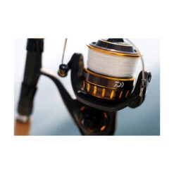 Moulinet Daiwa Bg Black Gold 4000 8 Moulinet Daiwa Bg Black Gold 4000 -Matériel De Pêche 127772 c