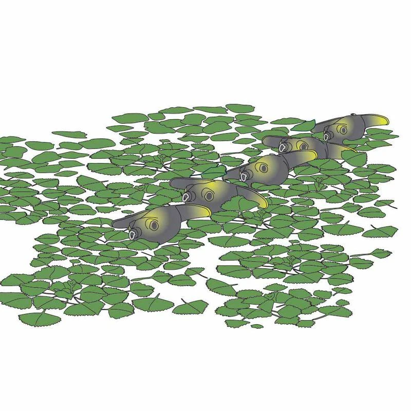 Leurre Frog Deps Basirisky 60, 6cm, 14g 12 Leurre Frog Deps Basirisky 60, 6cm, 14g – Image 10