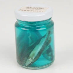 Appât Astucit 10 Vairons De 4 à 6 Cm En Bocal