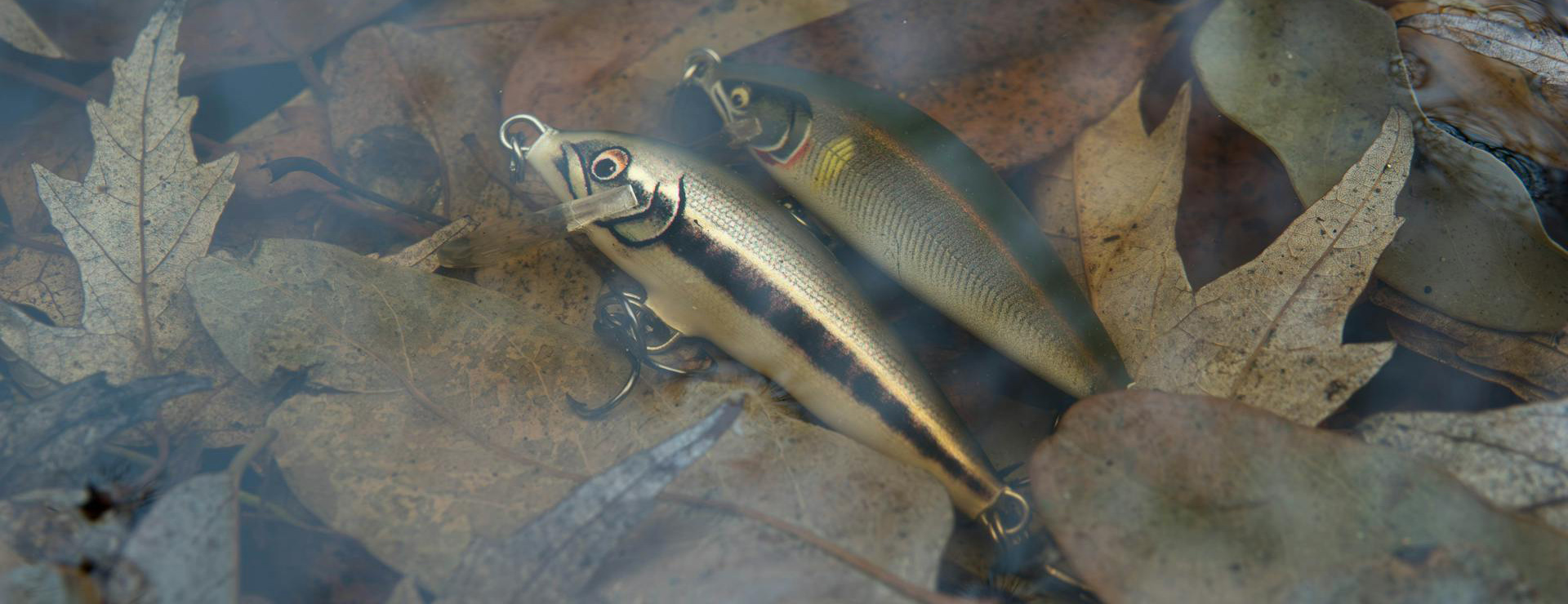 Devant -Matériel De Pêche pexels bejan adrian 1049543305 29718689